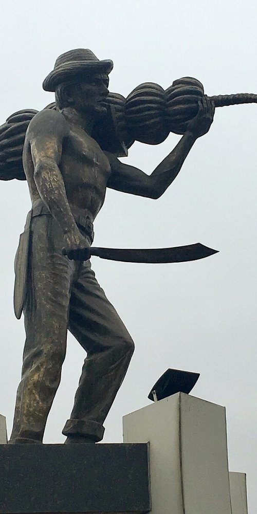 Machala, EC transport