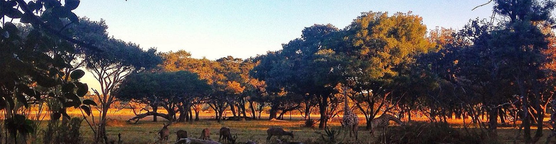 Harare, ZW