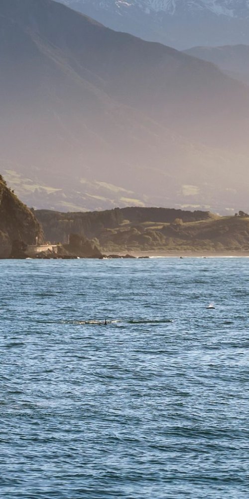 Kaikōura, nz transport