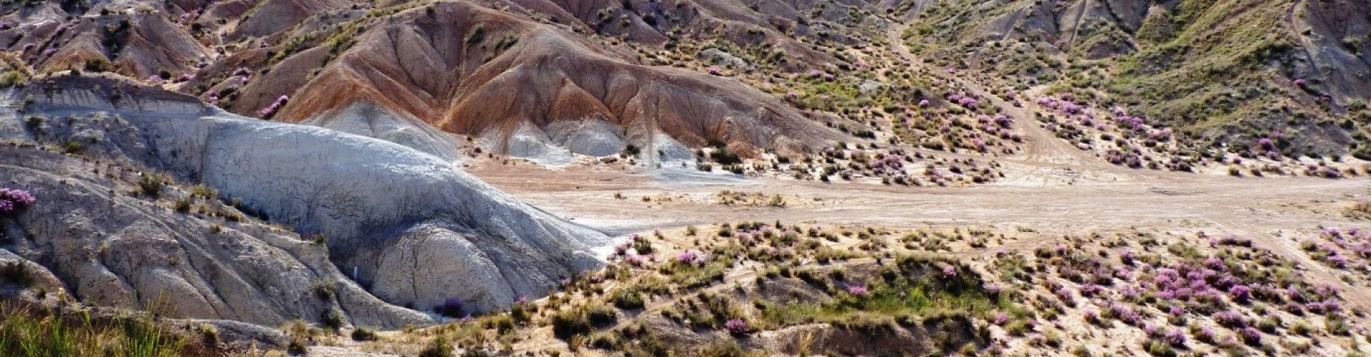 Molina de Segura, ES cityscape