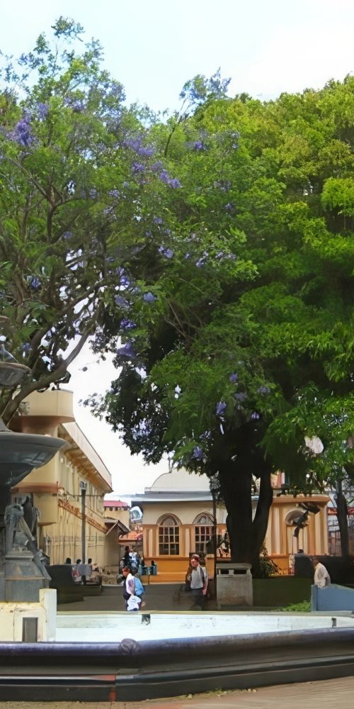 Alajuela, CR transport