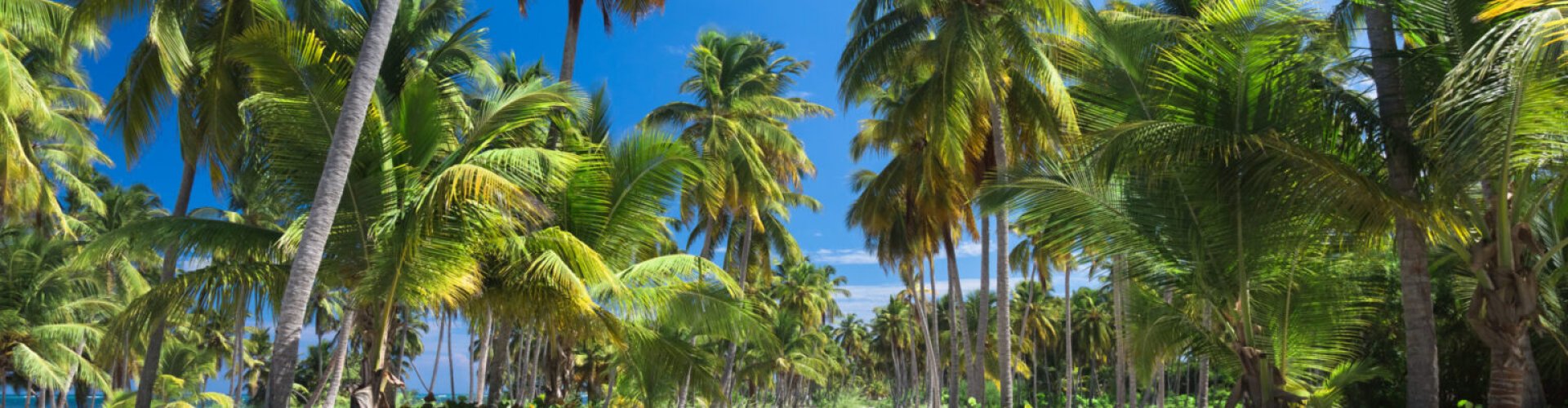 Sosúa, DO cityscape