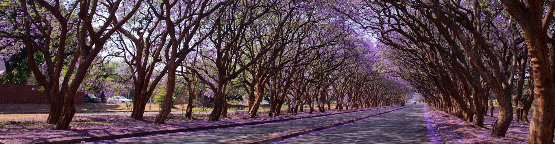 Harare, ZW cityscape