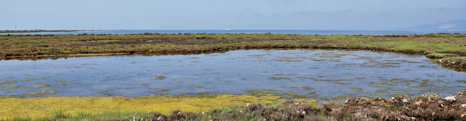 Amposta, ES cityscape