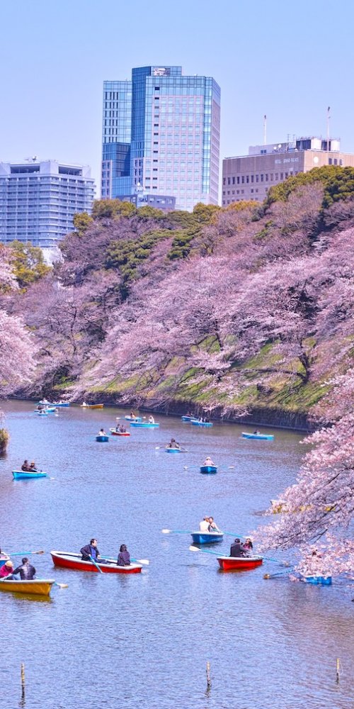 Tokyo, JP transport