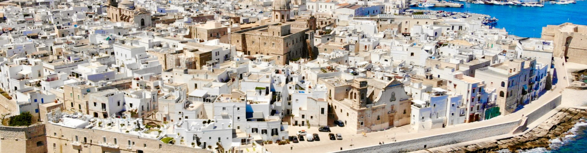 Monopoli, IT
