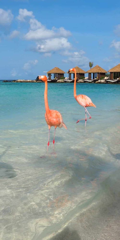 Aruba, AW transport