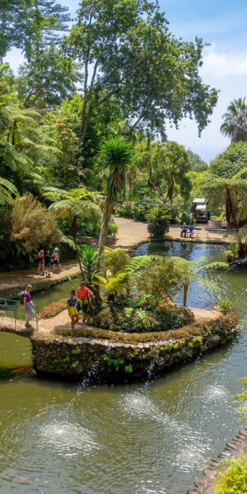 Funchal, PT transport